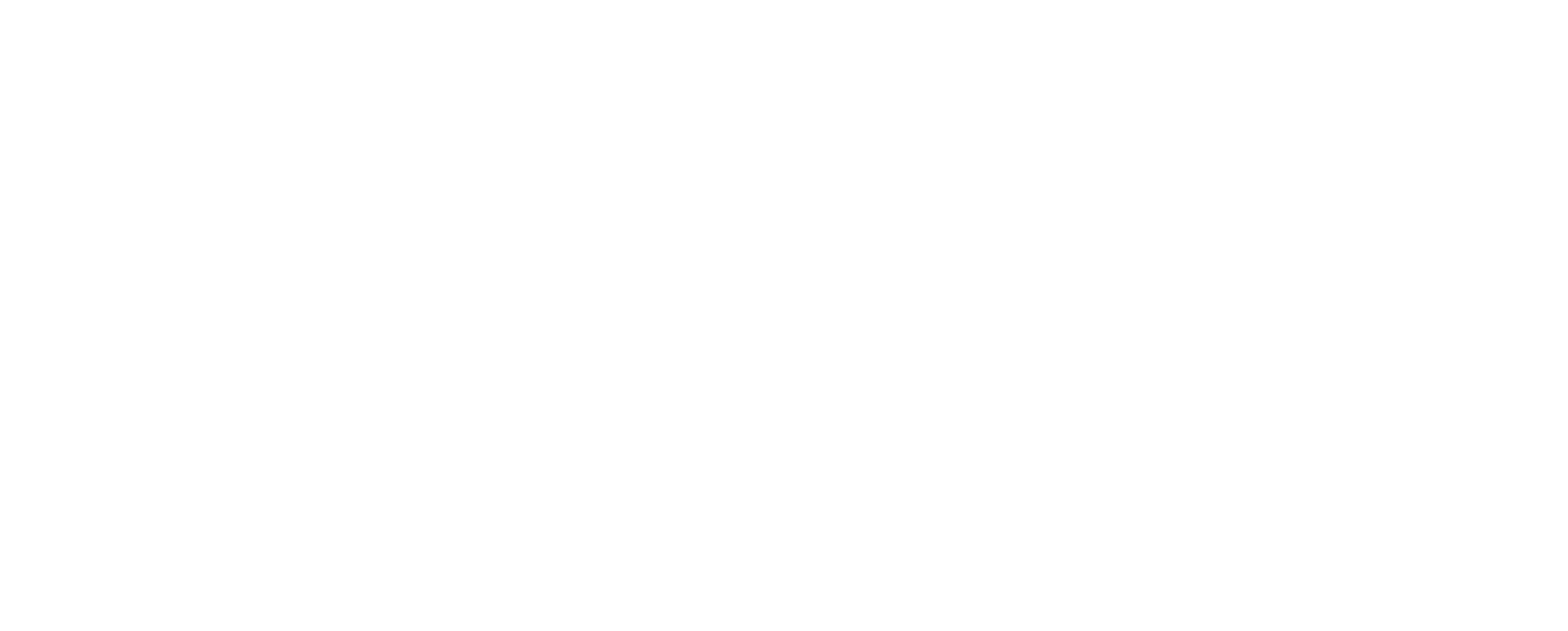 DS Logo